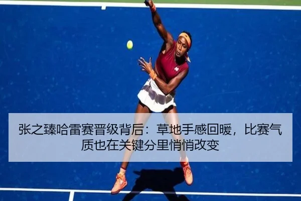 张之臻哈雷赛晋级背后：草地手感回暖，比赛气质也在关键分里悄悄改变 | huatihui